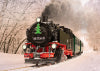 LGB G 21486 DR Steam Loco, Road Number 99 1734-5, SDG Fall 2026