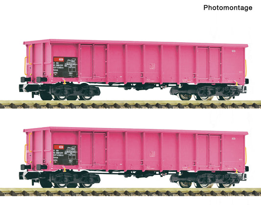 Fleischmann N 6660163 2 piece set: Open goods wagons  SBB   era V DC  2026 New Item
