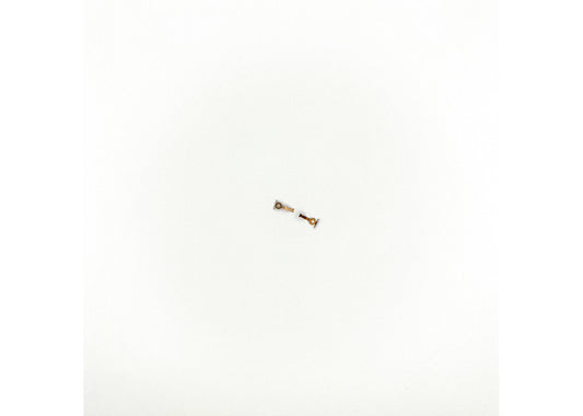 Marklin Parts A E263590 Spring 2 pcs.