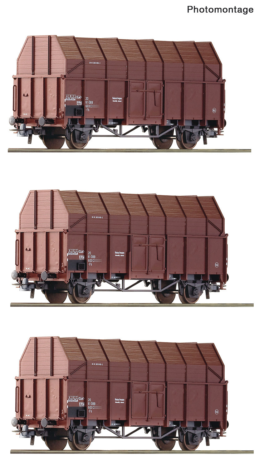 Roco HO 6600056 3-piece set: Sawdust wago ns  ÖBB                    era IV DC 2024 New Item